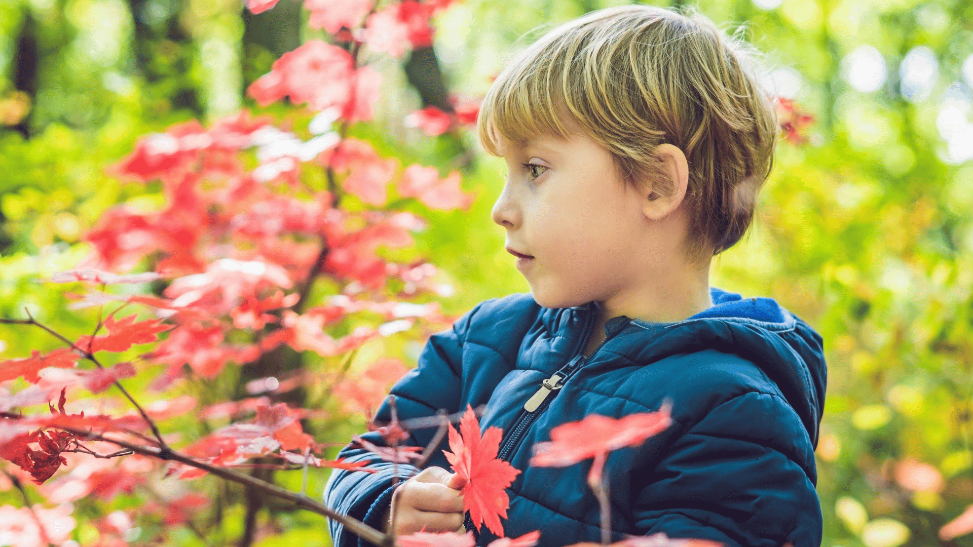 Outdoor Learning: Combining Nature with Online Education