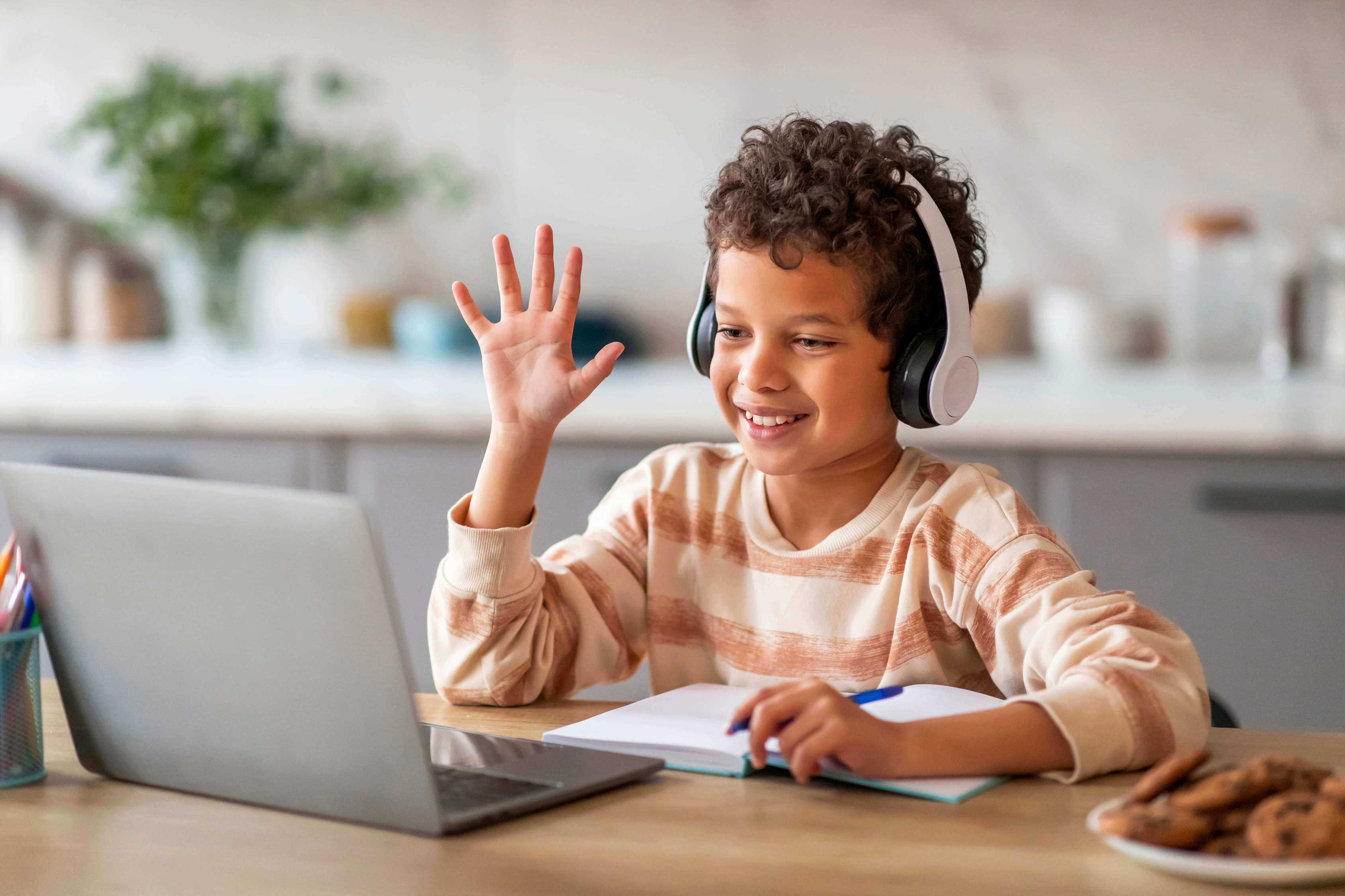 Field Trips for Online Learners: Beyond the Screen 